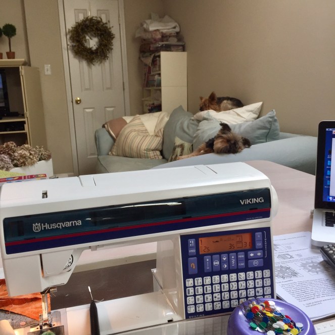 DDB6A8DE-5580-436D-A28D-E950366B09DD