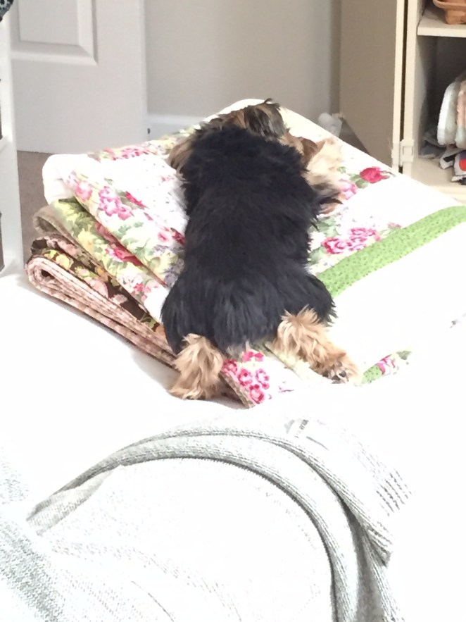 ECAE884E-3D58-4380-B051-EE16FC052A1A