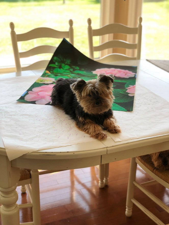 B028F182-88CA-4313-B00C-5199C3F2FAB2