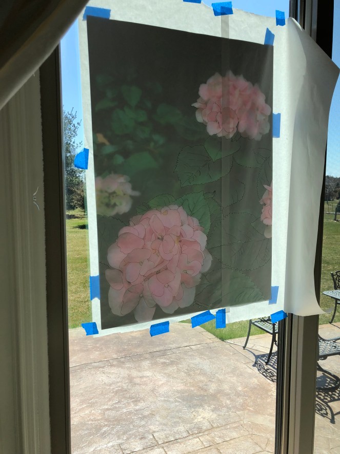 C433C07D-5FC4-4344-9481-F1AA1E05E2C1