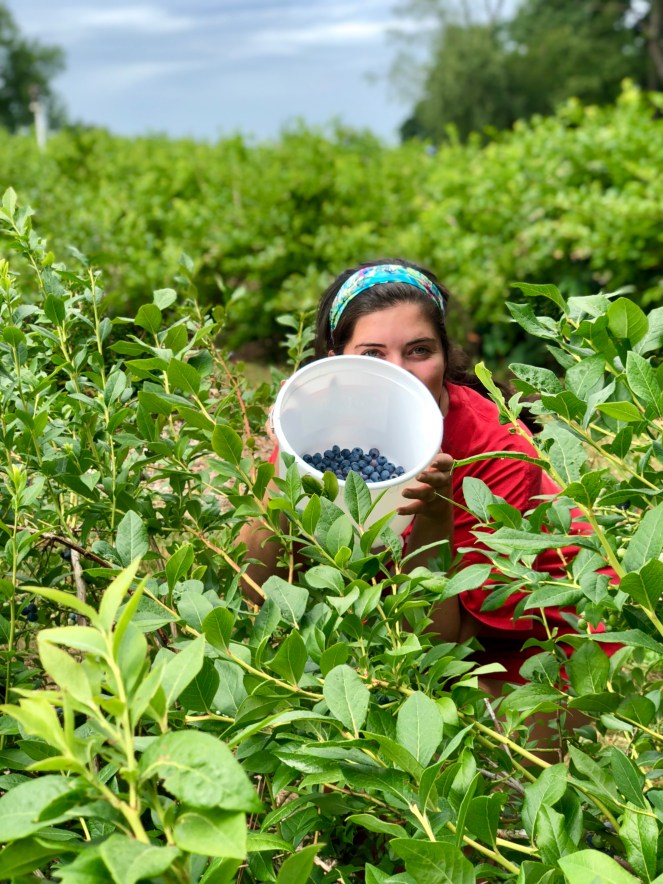 618455C6-B0F3-4E73-9287-E4667398CFDA