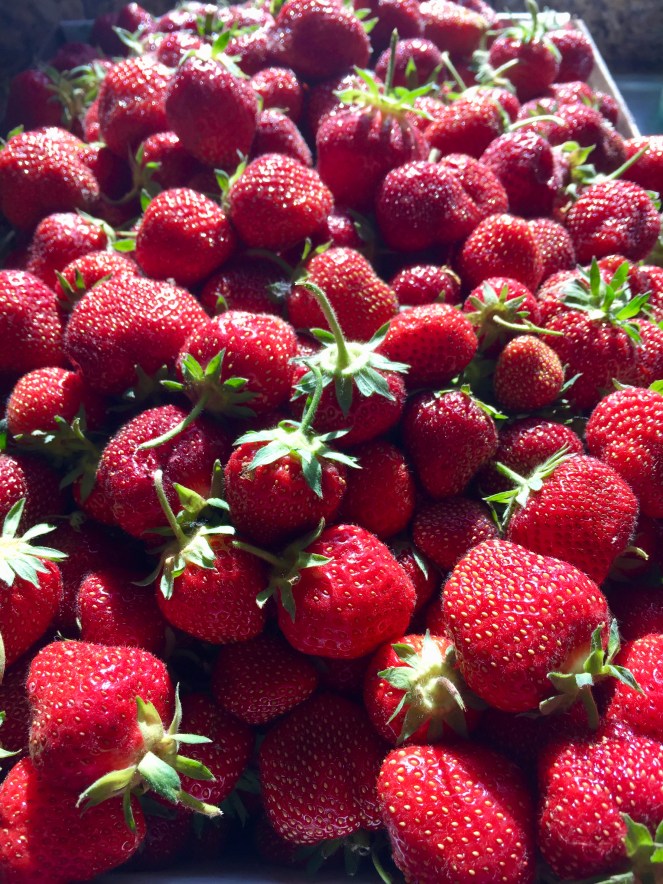 83B957A4-7BBA-46AF-A246-B7835EEDE6D3