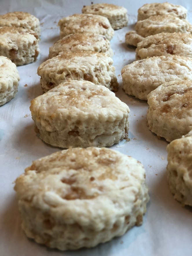 A387C66B-7741-410E-91FF-DD6D324DDF9E